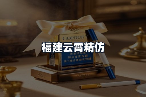 福建云霄精仿